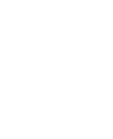 Insurance Shield